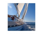 Kunstdruck sailing trip I - Größe: 20 x 20 cm, Pro Art